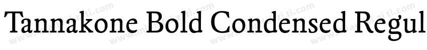 Tannakone Bold Condensed Regula字体转换